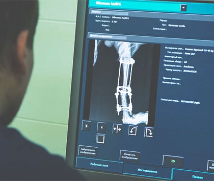 veterinaire-xray-image