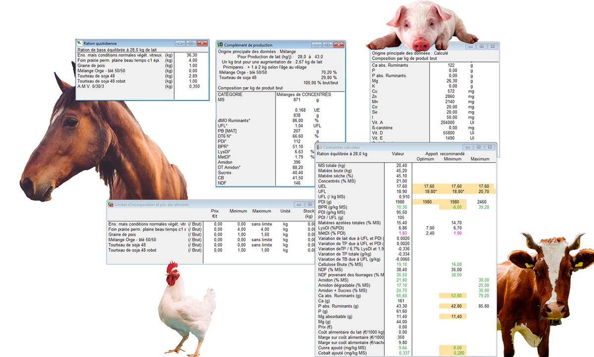 logiciel larelev controle des rations